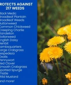 Bayer All-In-One Lawn Weed & Crabgrass Killer Ready To Spray 32oz