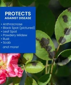 Manure & Pesticides Bayer 3-in-1 Insect Disease & Mite Control Ready To Use 24oz