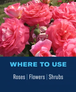 Bioadvanced Bayer Rose & Flower Insect Killer RTU 24oz Manure & Pesticides