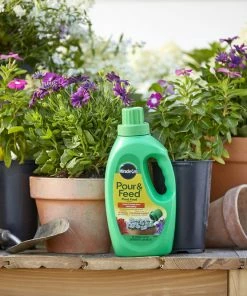 Miracle-Gro Pour & Feed Liquid Plant Food 32 Oz.