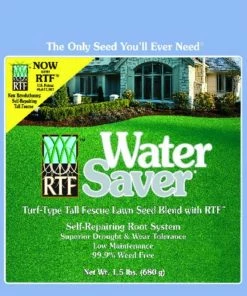 Barenbrug Water Saver Tall Fescue Sun/Shade Lawn Seed Blend 1.5 Lb. Outdoor Gardening