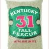 Barenbrug Kentucky 31 Tall Fescue Sun/Shade Grass Seed 5 Lb.