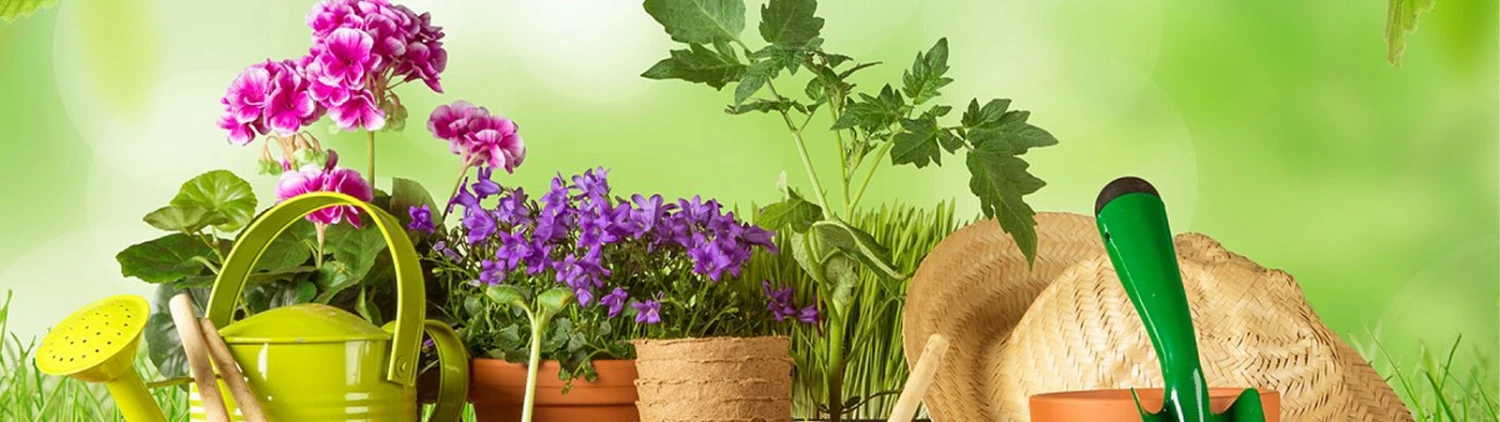 Kwik Garden Elegant Shop -Kwik Garden Elegant Shop bg1