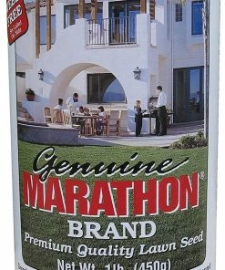 Outdoor Gardening Marathon Lawn Grass Seed Can 1lb