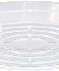 Curtis Wagner Plastics Clear Vinyl Plant Saucer 6in Indoor Gardening