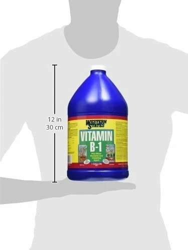 Indoor Gardening Liquinox Western States Vitamin B-1 1gal 4 Indoor Gardening Liquinox Western States Vitamin B-1 1gal