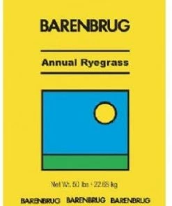 Outdoor Gardening Barenbrug Oregon Grown Annual Ryegrass Partial Shade/Sun Grass Seed 50 Lb