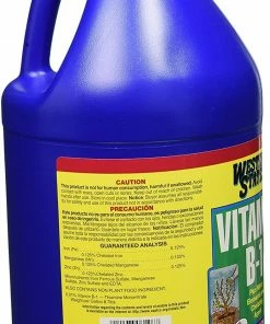 Indoor Gardening Liquinox Western States Vitamin B-1 1gal 6 Indoor Gardening Liquinox Western States Vitamin B-1 1gal