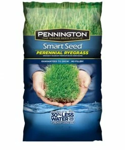 Pennington Smart Seed Perennial Rye Bld Powder Coated 3lb Outdoor Gardening