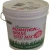 Marathon Grass Seed Bucket 5lb