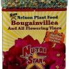 Nelson Bougainvillea (Flowering Vines) 17-7-10 4lb