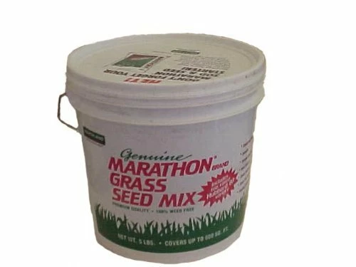 Marathon Grass Seed Bucket 5lb 2 Marathon Grass Seed Bucket 5lb