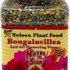 Nelson Bougainvillea (Flowering Vines) 17-7-10 2lb Indoor Gardening