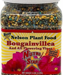 Nelson Bougainvillea (Flowering Vines) 17-7-10 2lb Indoor Gardening