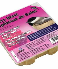 Outdoor Gardening Heath Outdoor Products Berry Blast Suet Cake 11.25oz
