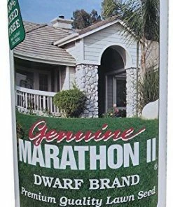 Marathon II Grass Seed 1lb