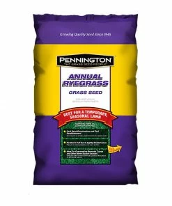 Pennington Annual Ryegrass Grass Seed 7lb Outdoor Gardening