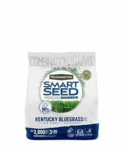 Pennington Smart Seed Kentucky Blue Grass Mix 3 Lb Outdoor Gardening