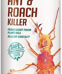 Ecosmart Ant & Roach Killer Spray Can 14oz Indoor Gardening